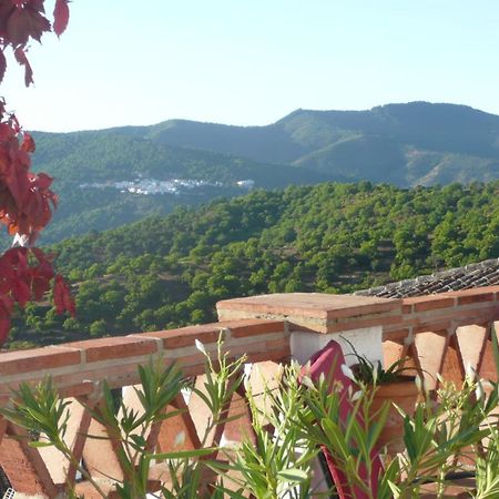 Hotel Los Castanos (Adults Only) Cartajima Exterior photo